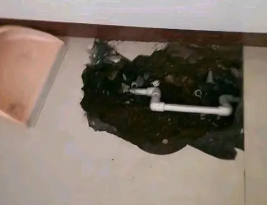 延边卫生间测漏水多少钱